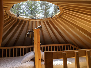 
                  
                    The 24 foot yurt
                  
                