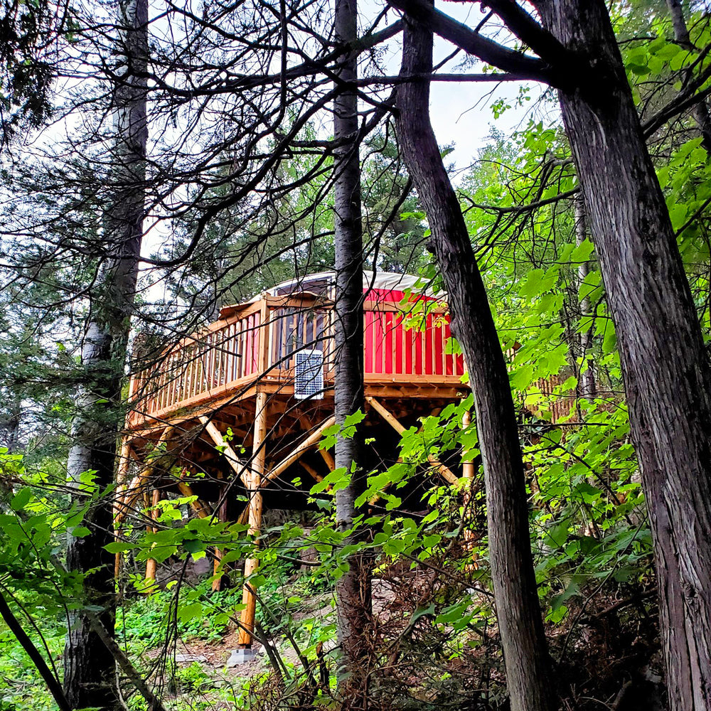 
                  
                    The 16 feet yurt
                  
                